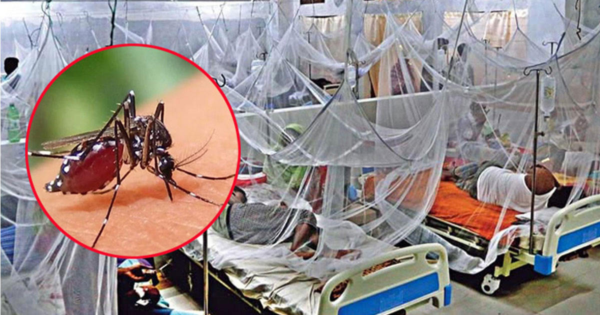 ডেঙ্গুতে আরও ৮ জনের মৃত্যু, হাসপাতালে ১০১৭